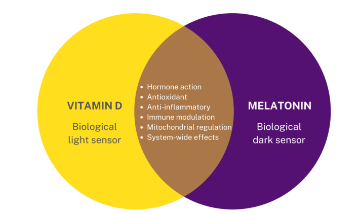 Melatonine, vitamine D