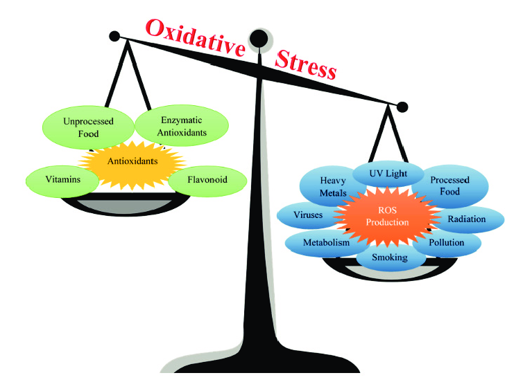Vitamines antioxidanten ROS