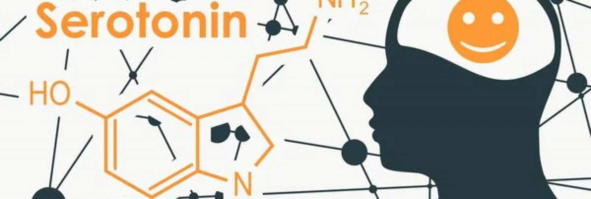 Een tekort aan de neurotransmitter serotonine? Een tekort aan de neurotransmitter serotonine?