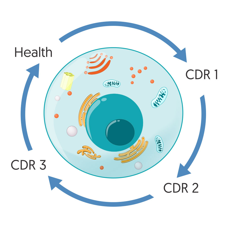 Cell Danger Response