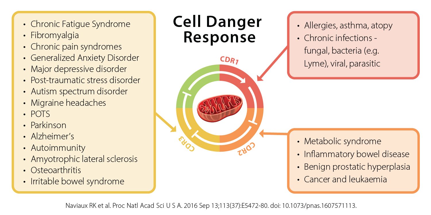 Cell Danger Response