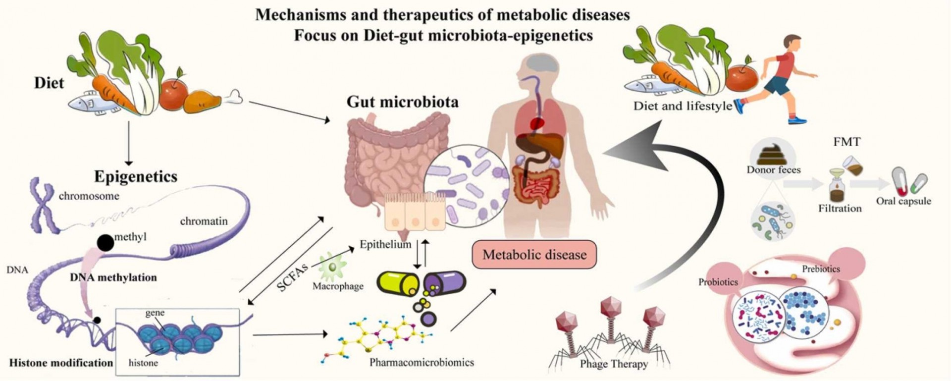 microbioom- epigenetica