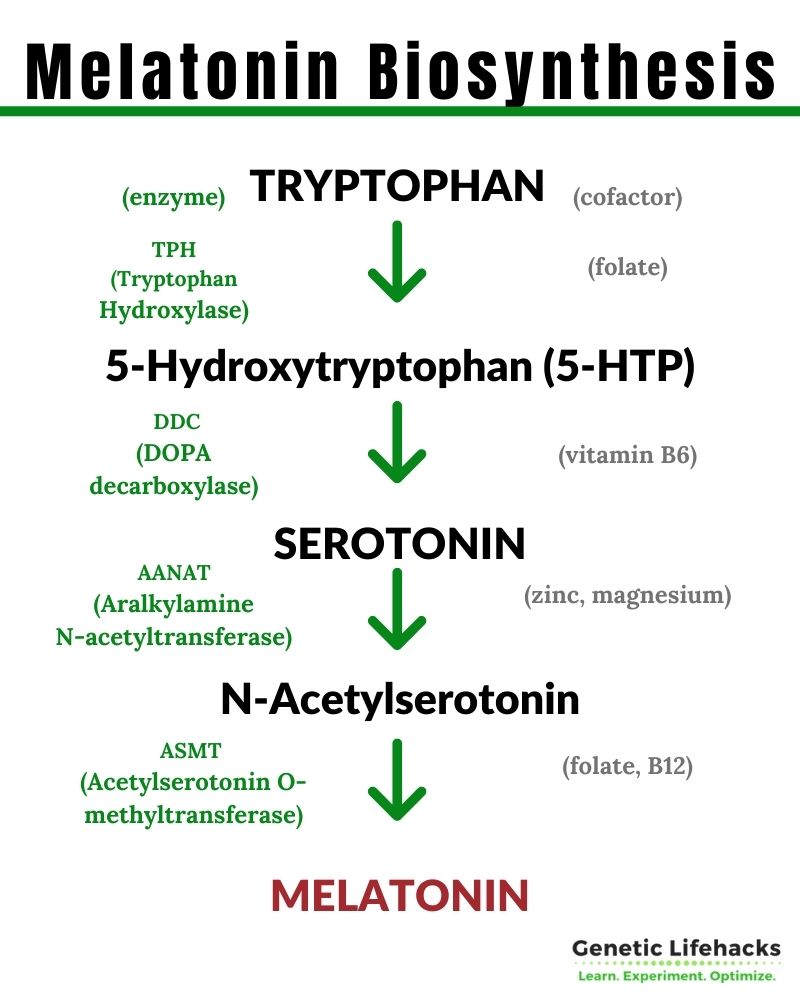 melatonine