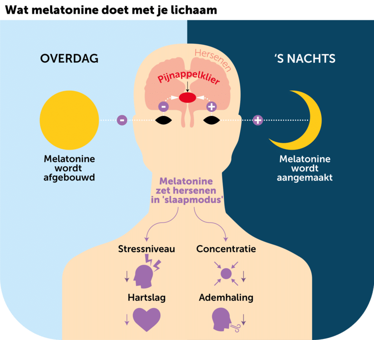 melatonine