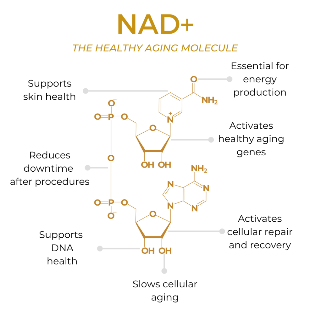 NAD+