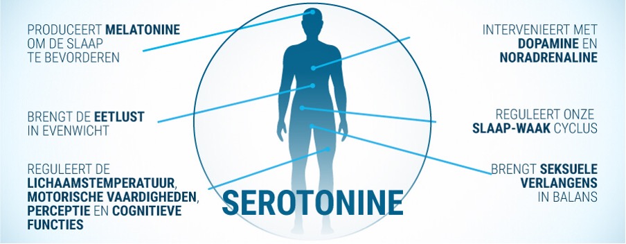 Serotonine